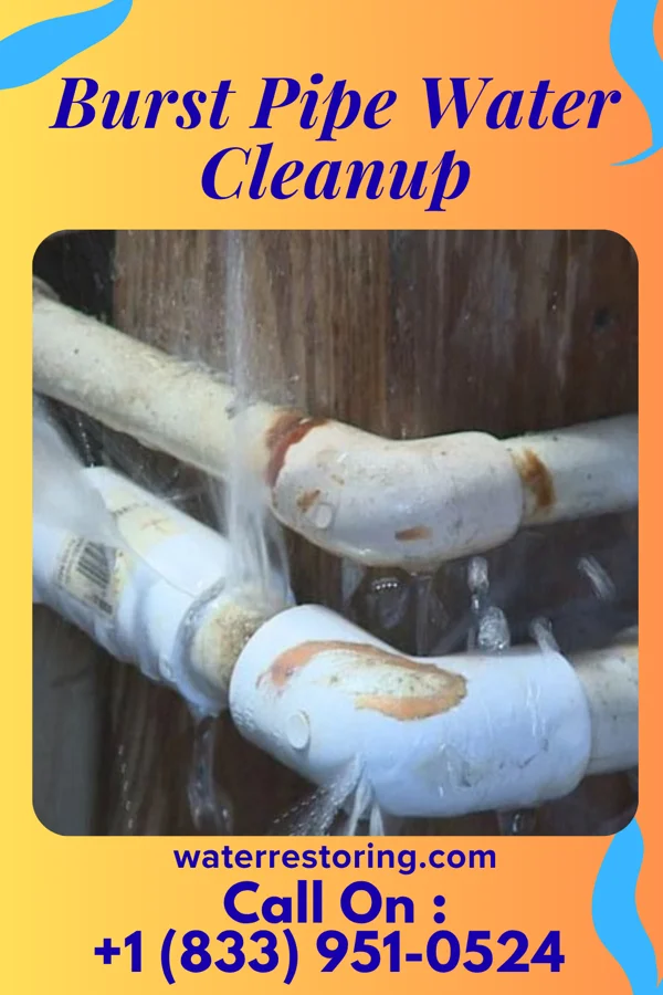 Burst Pipe Water Cleanup in Wolcott, IN