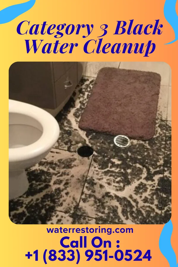 Category 3 Black Water Cleanup in Wolcott, IN