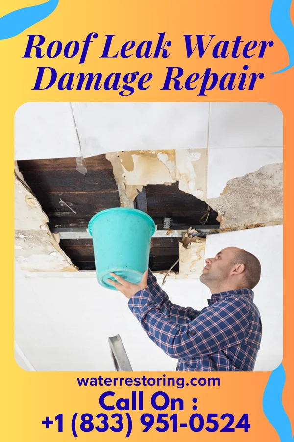 Roof Leak Water Damage Repair in Wolcott, IN