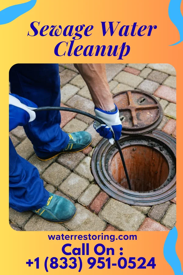 Sewage Water Cleanup in Wolcott, IN